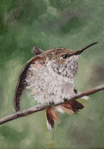 Allen's Fledgling new (60)